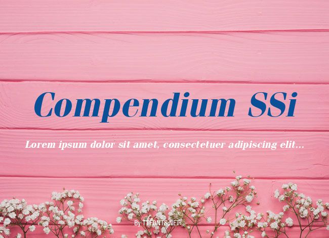 Compendium SSi example